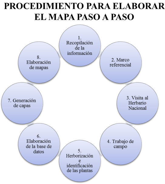 Proceso metodológico