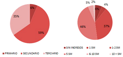 Localidades de origen agrario ocupación de la población por sector e ingreso