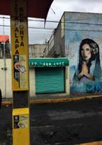 Manifestaciones urbanas y arquitectónicas: cámaras de vigilancia privadas y botón de auxilio 