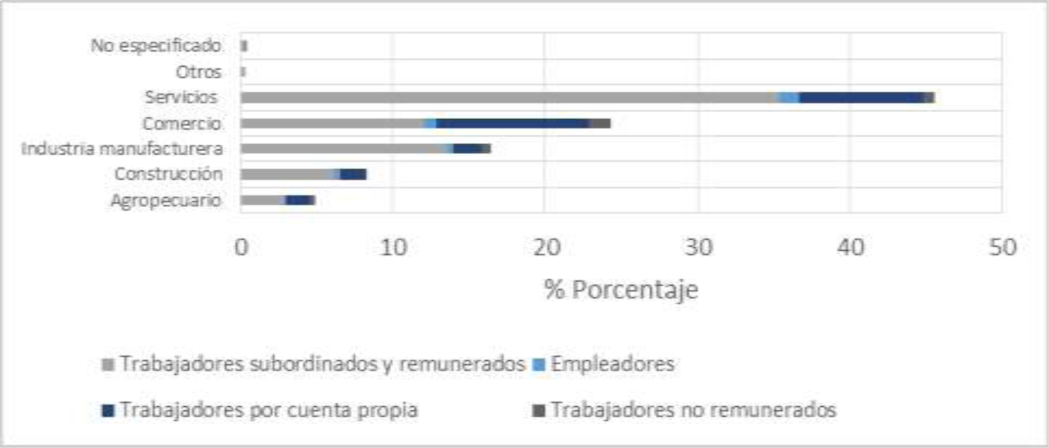 Estado de México Porcentaje de posición en el trabajo población ocupada