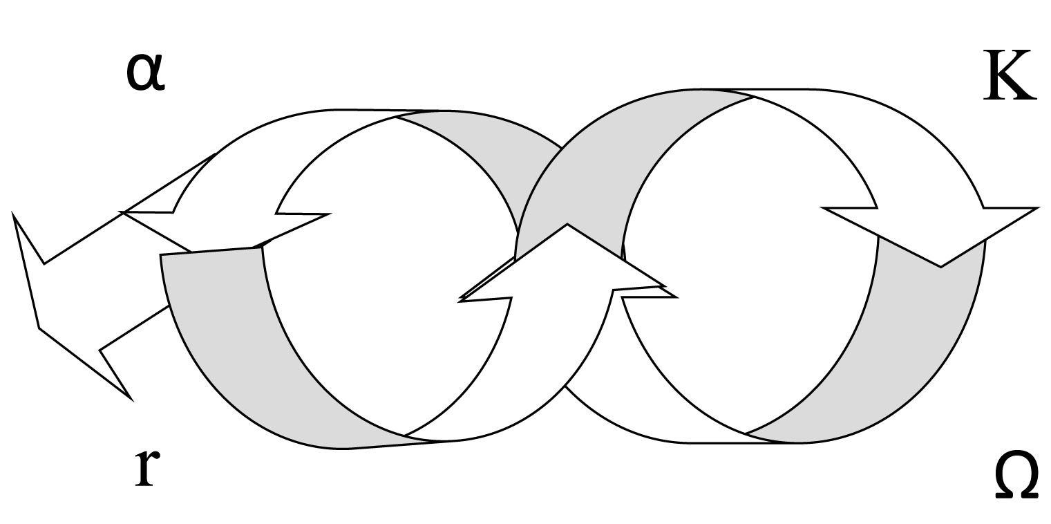 El ciclo adaptativo de Holling