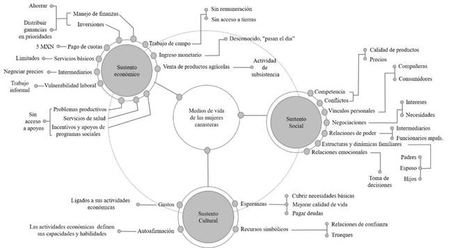 Estrategias y dinámica social de las mujeres canasteras que forman parte de sus medios de vida