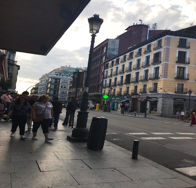 Predominio de infraestructura para una movilidad motorizada en las ciudades consolidadas y desaparición de infraestructura verde y espacios arbolados