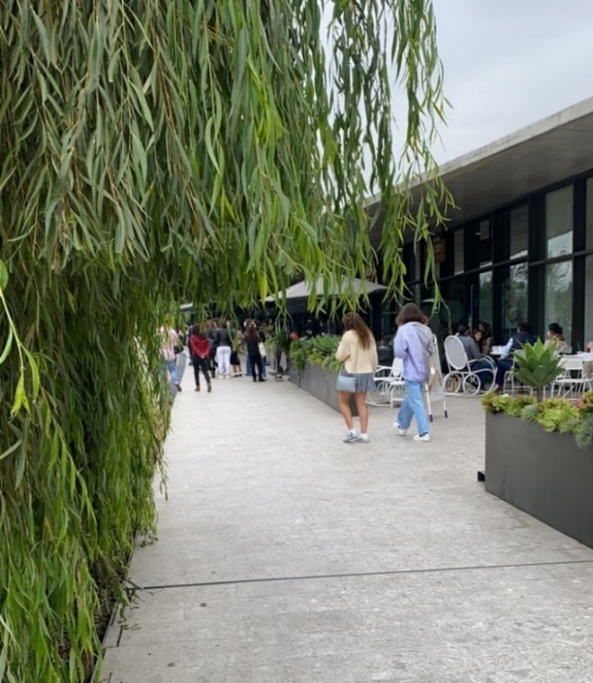 Espacios disfrazados de públicos con estrategias excluyentes: Parque la Mexicana en Santa Fe, México
