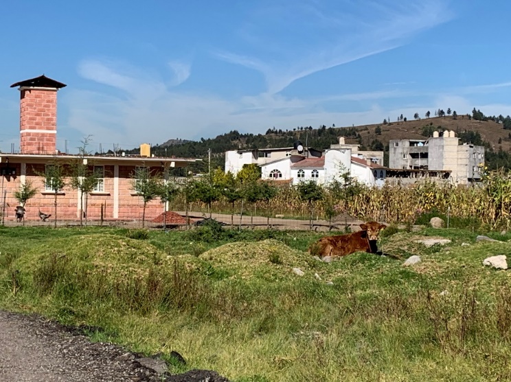 Combinación de uso de suelo no convencional en el espacio urbano, combinando uso agrícola, ganadero y residencial