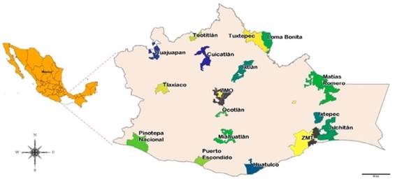 Ciudades de estudio