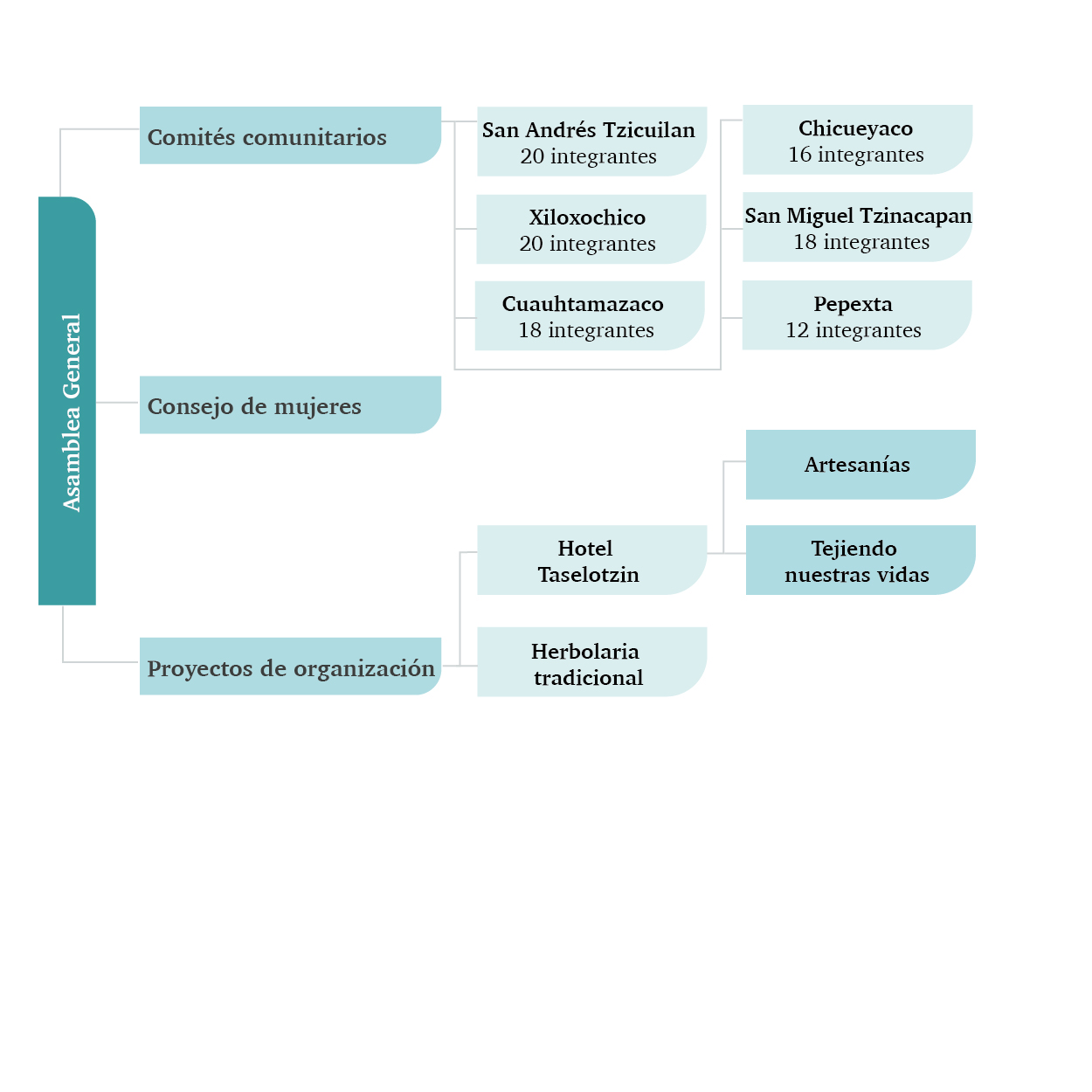 Organización de Masehual Siuamej Mosenyolchicauani