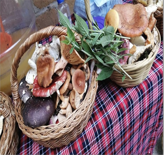 La Feria del hongo en el Parque Nacional Lagunas de Zempoala